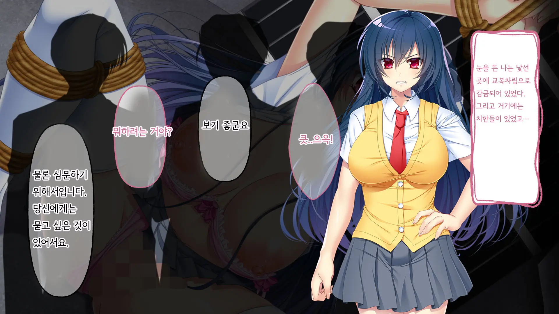 Nigeba Nashi! Misshitsu Chikan Densha ~ Otori Sosakan No Hamerare Jigoku | 도망칠수 없어! 밀실치한전차 ~함정수사관의 삽입지옥~